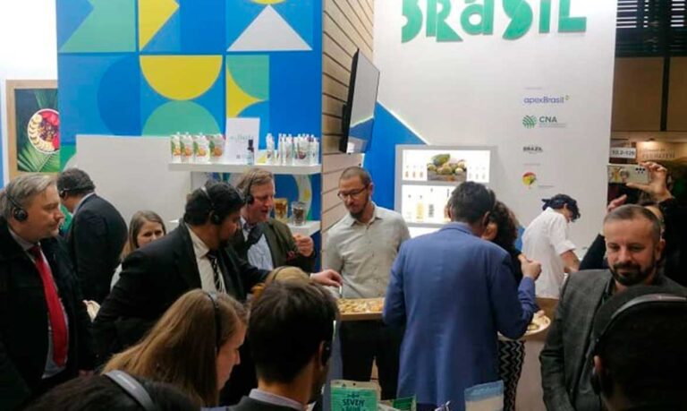 Agroindústria de castanha
