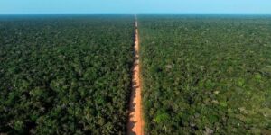BR-319 mantém 86% de vegetação nativa enquanto agropecuária expande em outras rodovias